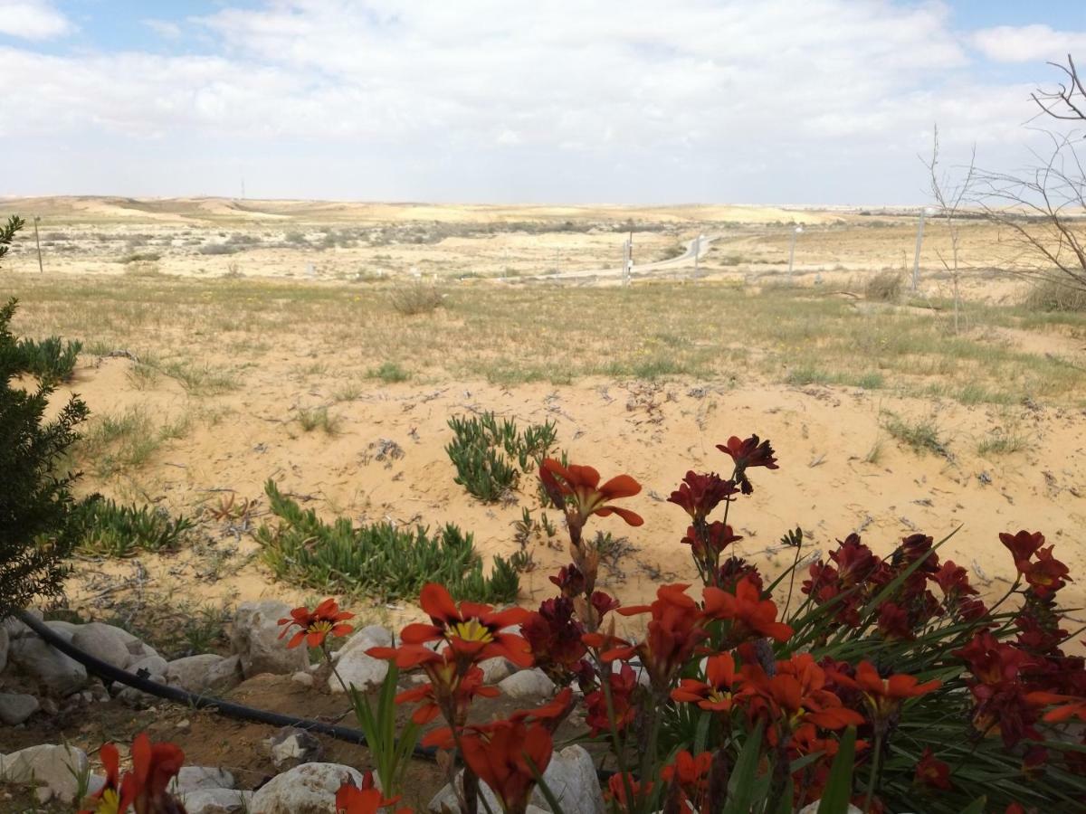 فيلا Be'er Milkaفي Desert Fantasy المظهر الخارجي الصورة